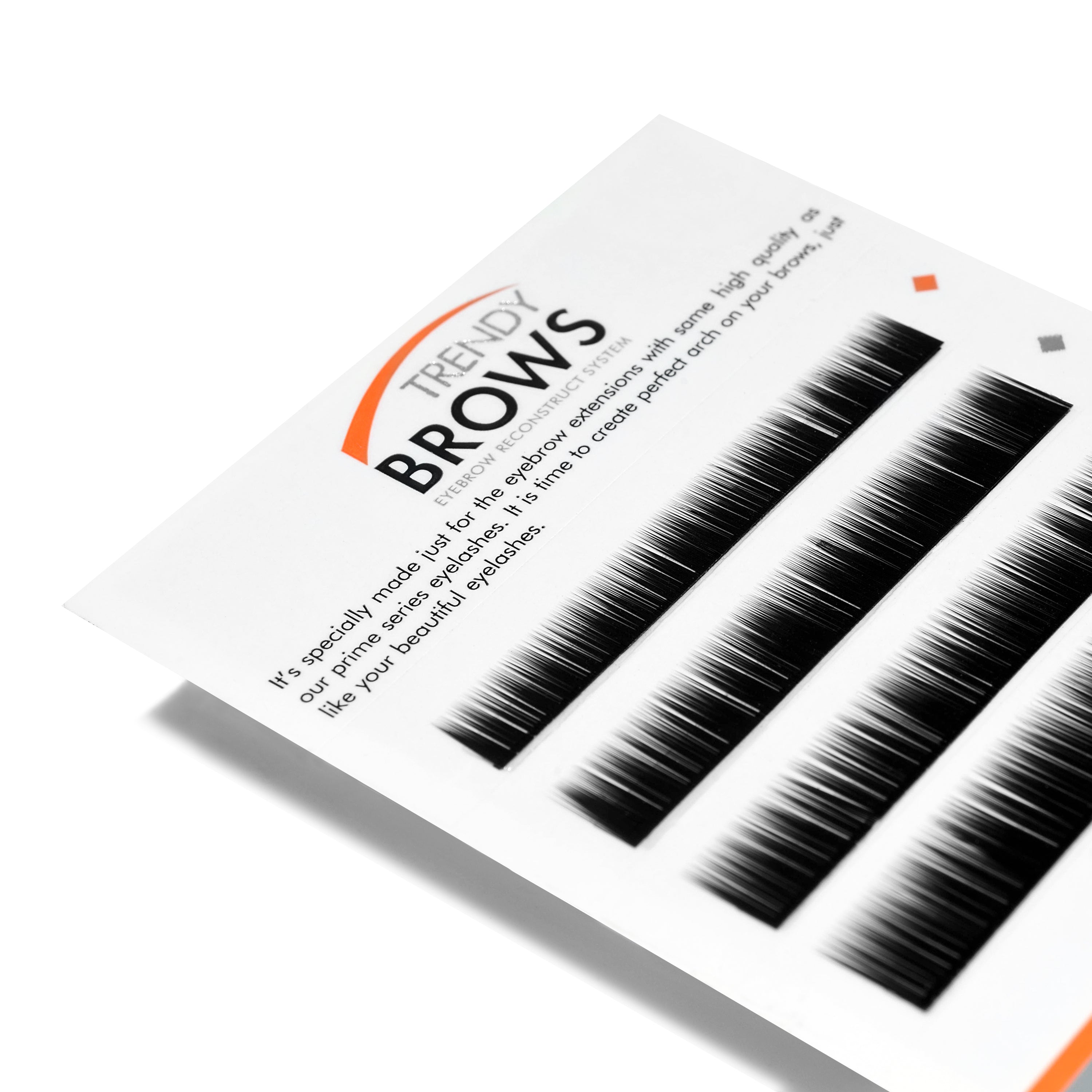 6LINE TRENDY BROWS - I - beautierlash